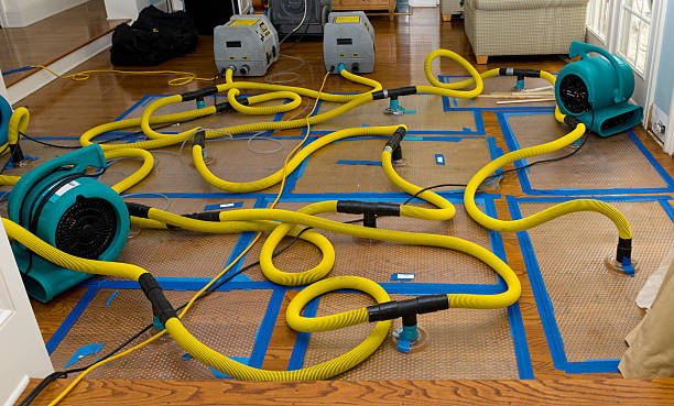 Professional Burst Pipe Water Damage technician working in Freeport, FL